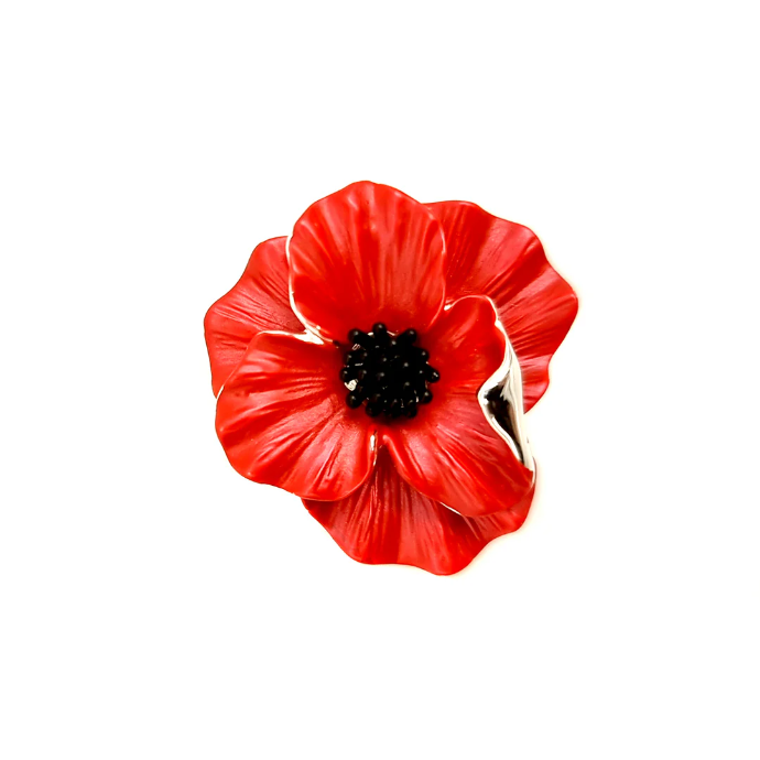 British Holiday: Remembrance Day/Armistice Day